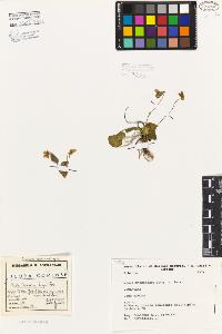 SW_BNB_s3080-06859_IMG-0000000001