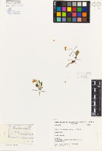 SW_BNB_s3080-06862_IMG-0000000001