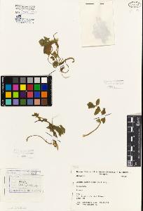 SW_BNB_s3080-06883_IMG-0000000001
