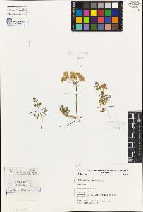 SW_BNB_s3080-06888_IMG-0000000001