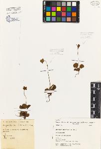 SW_BNB_s3080-06894_IMG-0000000001