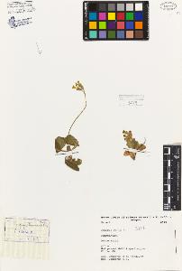 SW_BNB_s3080-06918_IMG-0000000001
