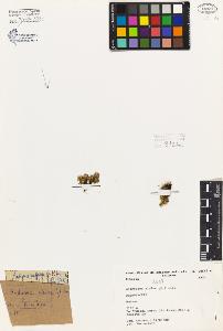 SW_BNB_s3080-06925_IMG-0000000001