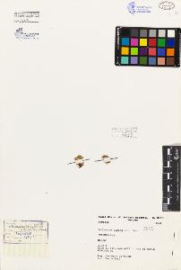 SW_BNB_s3080-06926_IMG-0000000001