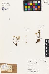 SW_BNB_s3080-06929_IMG-0000000001
