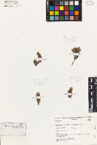 SW_BNB_s3080-06933_IMG-0000000001