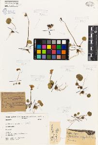 SW_BNB_s3080-06935_IMG-0000000001
