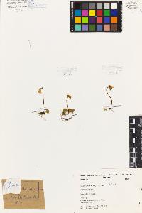 SW_BNB_s3080-06942_IMG-0000000001