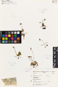SW_BNB_s3080-06944_IMG-0000000001