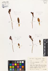 SW_BNB_s3080-06958_IMG-0000000001