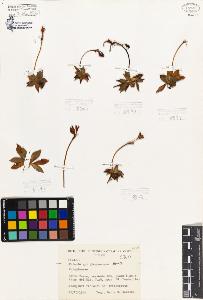 SW_BNB_s3080-06964_IMG-0000000001
