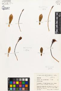 SW_BNB_s3080-06966_IMG-0000000001
