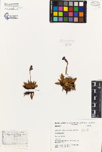 SW_BNB_s3080-06976_IMG-0000000001