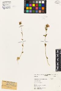SW_BNB_s3080-06983_IMG-0000000001
