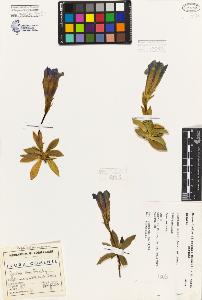 SW_BNB_s3080-06988_IMG-0000000001