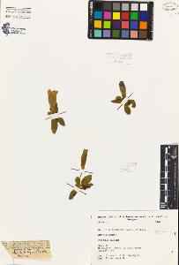 SW_BNB_s3080-06996_IMG-0000000001