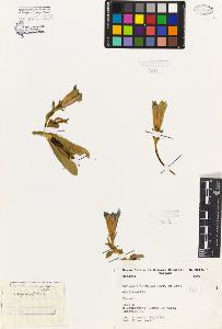 SW_BNB_s3080-07002_IMG-0000000001