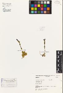 SW_BNB_s3080-07035_IMG-0000000001