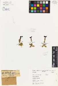 SW_BNB_s3080-07040_IMG-0000000001