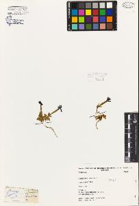 SW_BNB_s3080-07044_IMG-0000000001