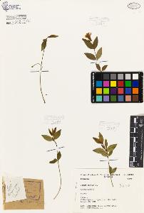 SW_BNB_s3080-07058_IMG-0000000001