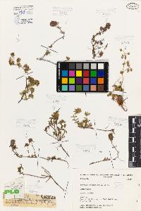 SW_BNB_s3080-07094_IMG-0000000001