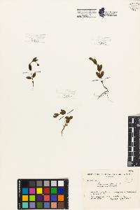 SW_BNB_s3080-07113_IMG-0000000001