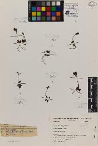 SW_BNB_s3080-07136_IMG-0000000001