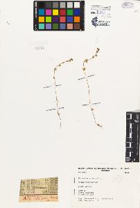 SW_BNB_s3080-07147_IMG-0000000001