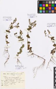 SW_BNB_s3080-07153_IMG-0000000001