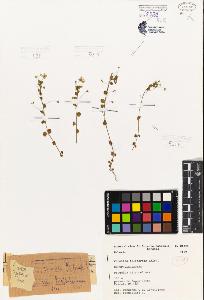 SW_BNB_s3080-07163_IMG-0000000001