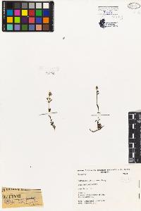 SW_BNB_s3080-07175_IMG-0000000001