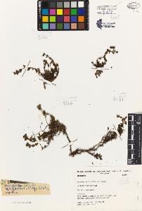 SW_BNB_s3080-07180_IMG-0000000001