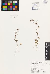 SW_BNB_s3080-07186_IMG-0000000001