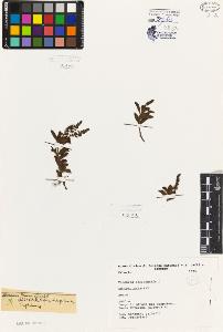 SW_BNB_s3080-07196_IMG-0000000001