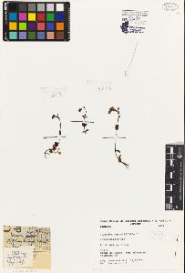 SW_BNB_s3080-07215_IMG-0000000001