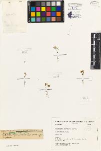SW_BNB_s3080-07237_IMG-0000000001
