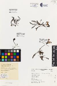 SW_BNB_s3080-07341_IMG-0000000001