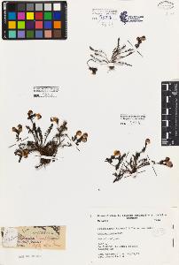 SW_BNB_s3080-07343_IMG-0000000001