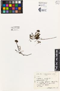 SW_BNB_s3080-07367_IMG-0000000001