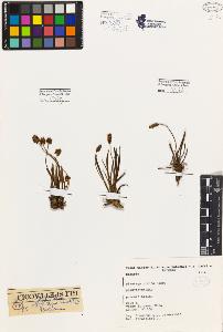 SW_BNB_s3080-07369_IMG-0000000001