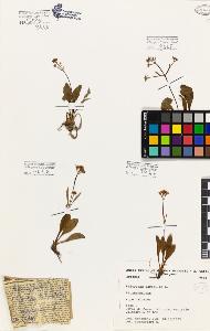 SW_BNB_s3080-07388_IMG-0000000001