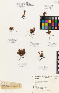 SW_BNB_s3080-07400_IMG-0000000001