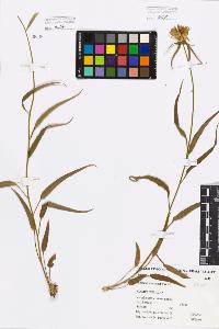 SW_BNB_s3080-07415_IMG-0000000001