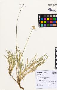 SW_BNB_s3080-07425_IMG-0000000001