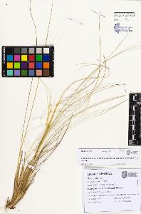 SW_BNB_s3080-07427_IMG-0000000001