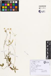 SW_BNB_s3080-07429_IMG-0000000001