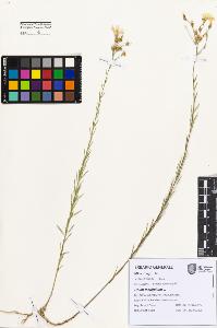 SW_BNB_s3080-07431_IMG-0000000001