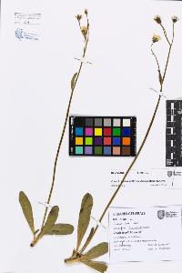 SW_BNB_s3080-07438_IMG-0000000001