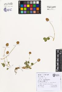 SW_BNB_s3080-07446_IMG-0000000001